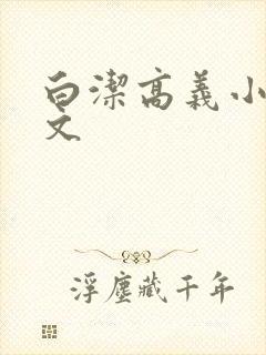白洁高义小说全文