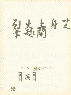 引火上身芝麻糖笔趣阁封面