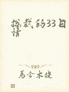 总裁的33日索情