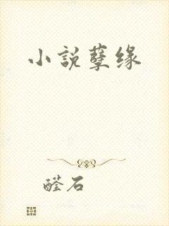 小说孽缘