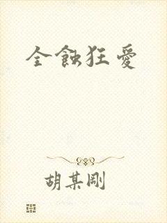 全蚀狂爱封面