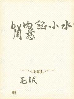 by肉馅小水饺周慈