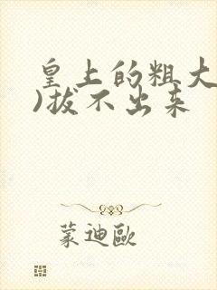 皇上的粗大(h)拔不出来