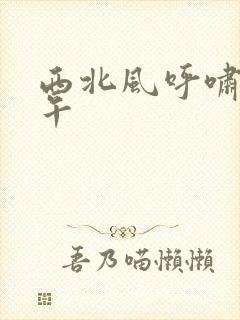 西北风呼啸的中午