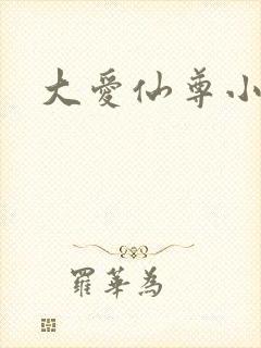 大爱仙尊小说封面