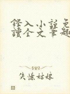 锋入小说免费阅读全文笔趣阁