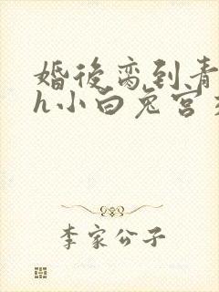 婚后脔到青梅哭h小白兔宫交h封面
