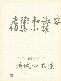 老卫和淑容1-40集小说
