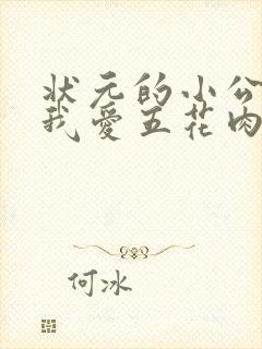 状元的小公主(我爱五花肉)封面