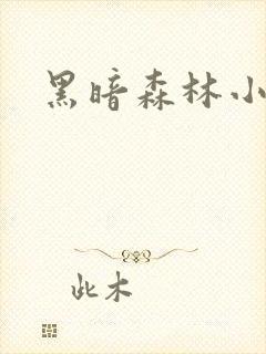 黑暗森林小说