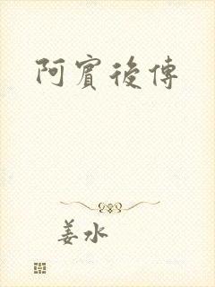 阿宾后传封面