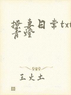 撩妻日常txt青灯
