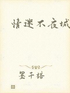 情迷不夜城