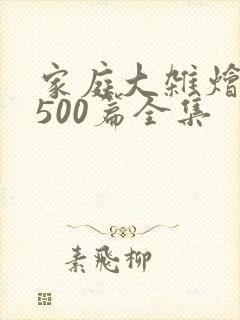 家庭大杂烩小说500篇全集封面