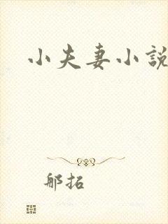 小夫妻小说
