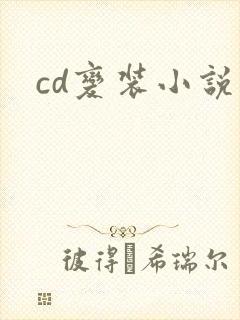 cd变装小说
