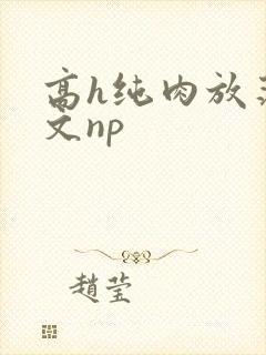 高h纯肉放荡h文np