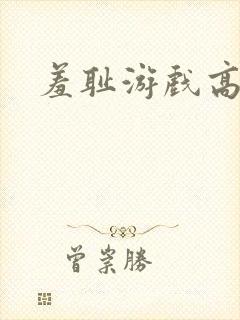 羞耻游戏高h封面