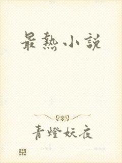 最热小说