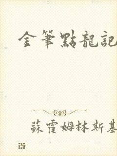 金笔点龙记