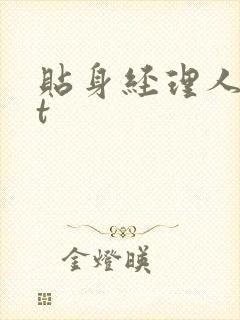 贴身经理人txt封面