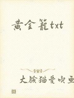 黄金笼txt