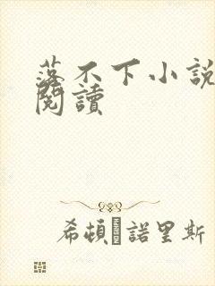 落不下小说免费阅读