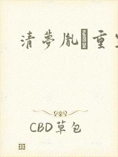 清梦胤礽重生封面