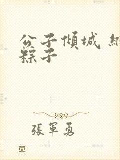 公子倾城 维和粽子封面