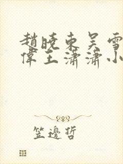 赵晓东吴雪晴郑伟王潇潇小说名字