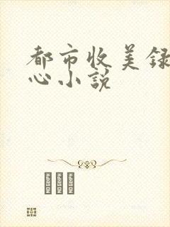 都市收美录宁素心小说封面