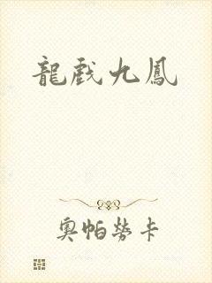 龙戏九凤封面