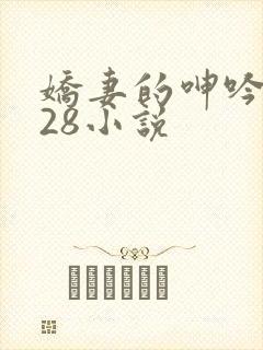 娇妻的呻吟1—28小说