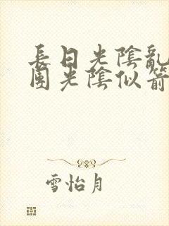 长日光阴乱作一团光阴似箭无弹窗封面