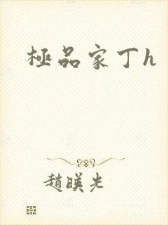 极品家丁h