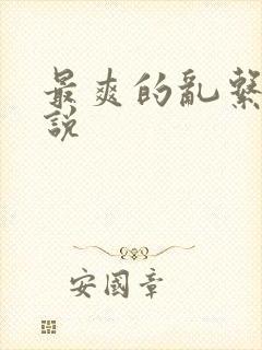 最爽的乱系列小说封面