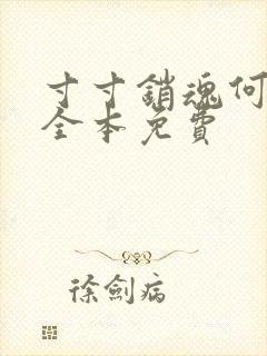 寸寸销魂何生祥全本免费封面
