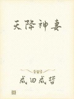 天降神妻