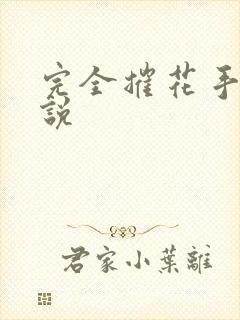 完全摧花手册小说
