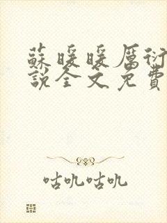 苏暖暖厉衍琛小说全文免费阅读