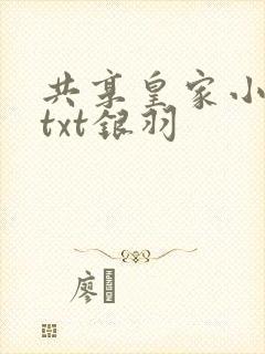 共享皇家小公主txt银羽封面