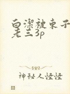 白洁被东子老二老三3p