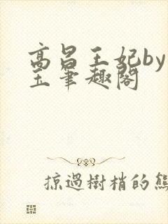 高昌王妃by黛玉笔趣阁封面