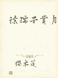徐孺子赏月封面
