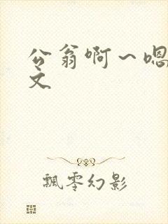 公翁啊～嗯啊h文封面