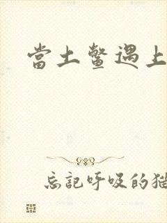 当土鳖遇上海龟