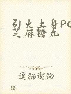 引火上身POP芝麻糖丸