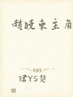 赵晓东主角小说封面