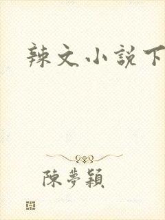 辣文小说下载