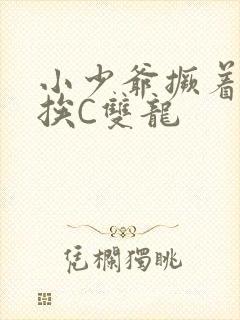 小少爷撅着屁股挨C双龙